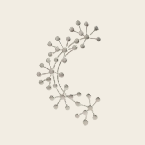Vax - Boucles d’oreilles
