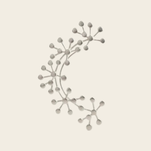 Vax - Boucles d’oreilles